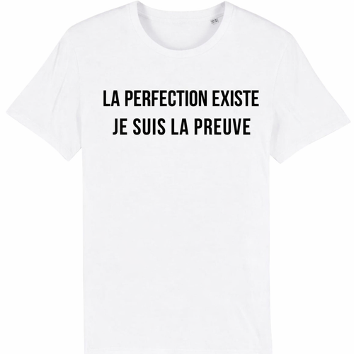 T-shirt "La Perfection Existe" : Pour ceux qui n'ont pas peur de briller !